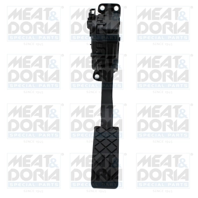 Accelerator Pedal Unit
